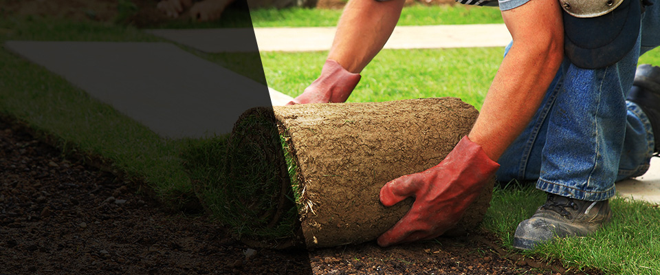 Pottsboro Landscapers